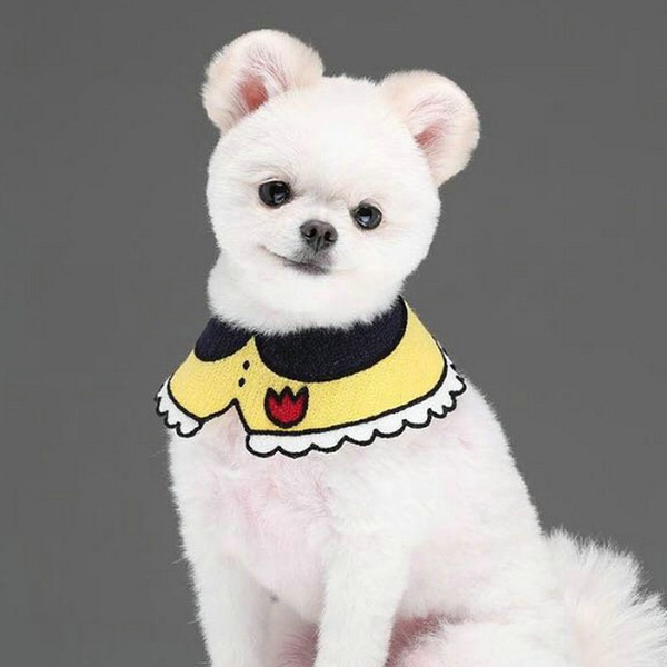 Cute pet bib